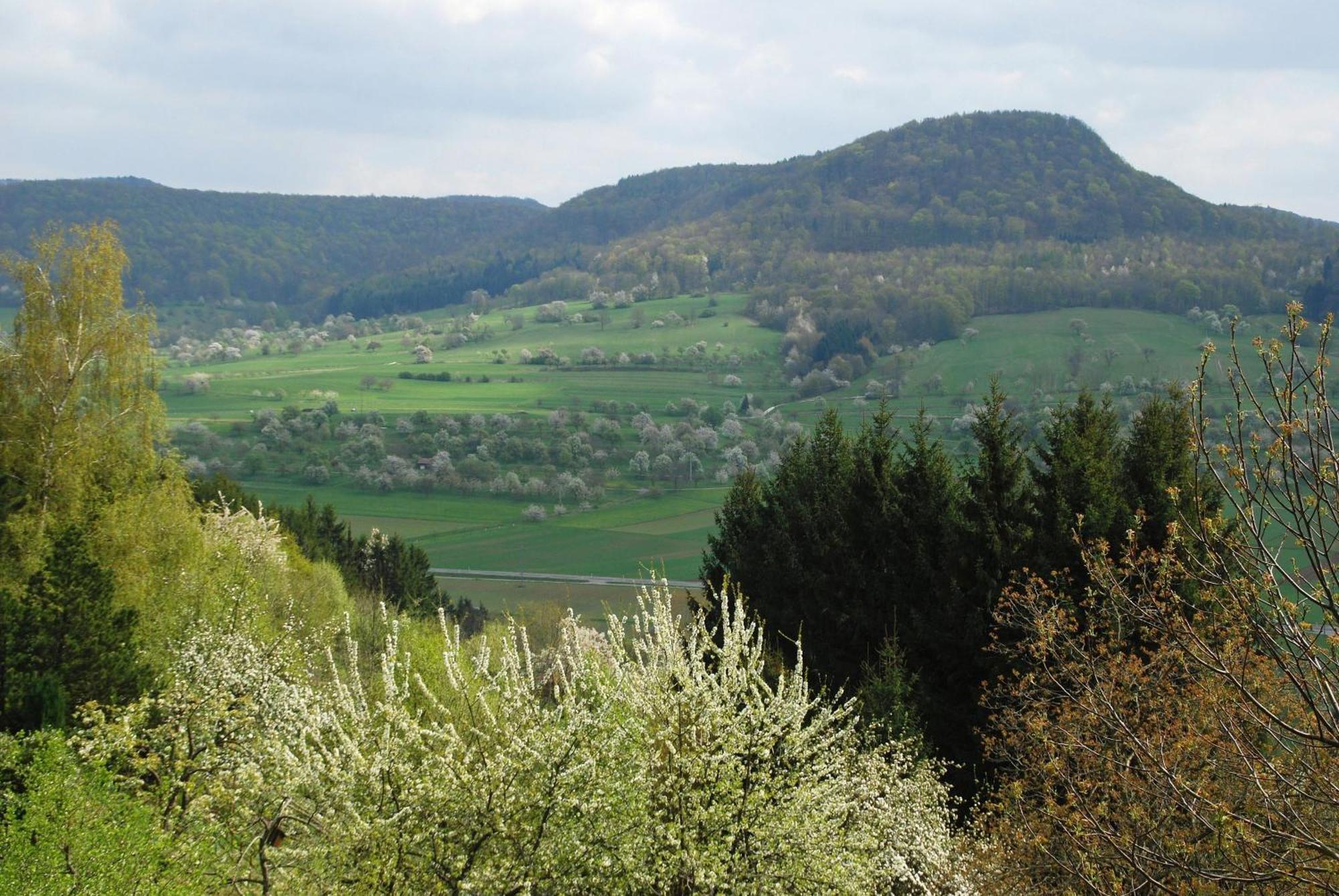 Ferienwohnungen Beim Imker Mössingen Exteriör bild
